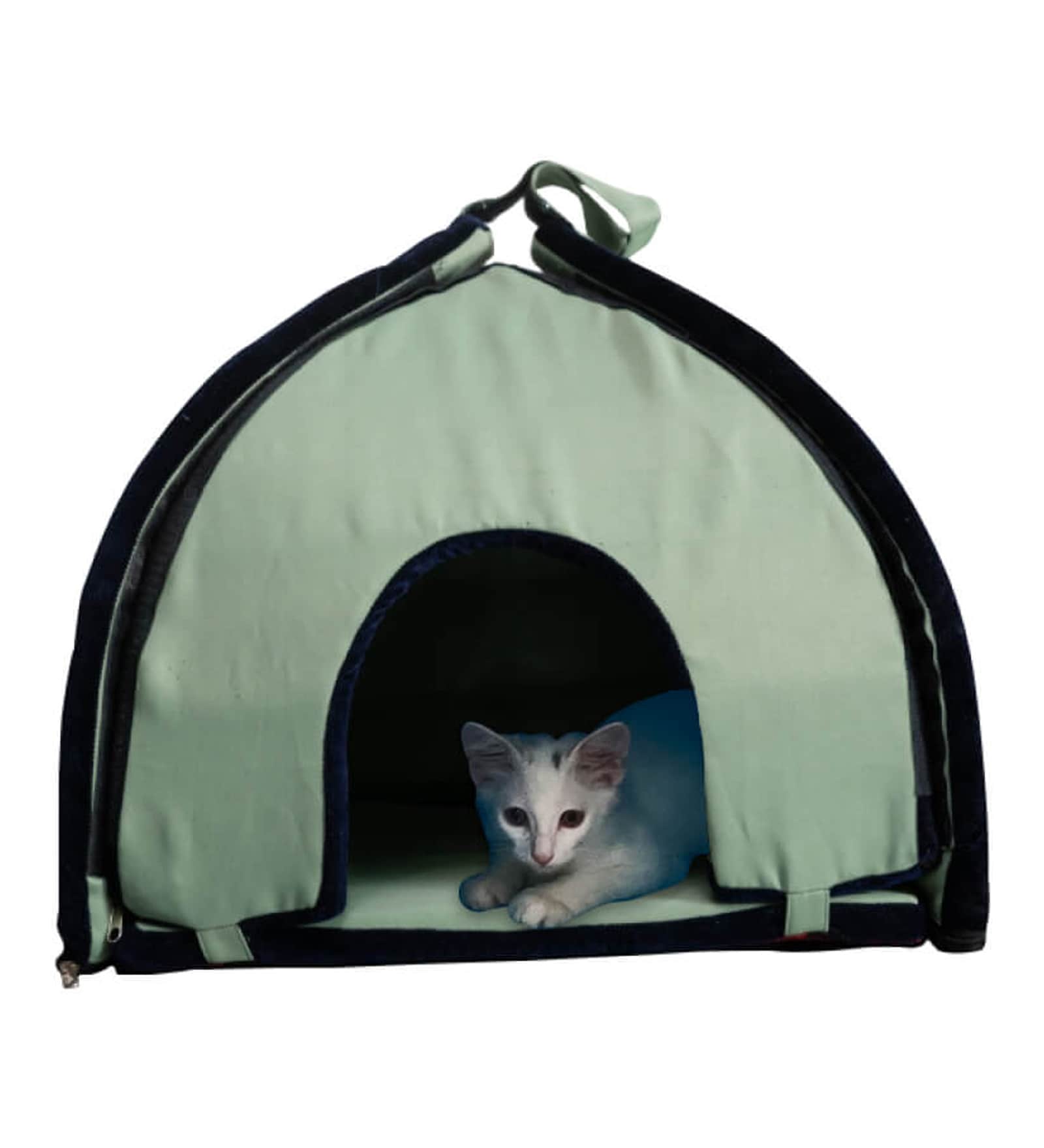 Buy Hercules Washable Light Green & Black Fabric Cat House at 100 OFF by House of Furry Pepperfry