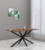 Heather 6 Seater Dinning Table In Knottywood & Black Color Finish