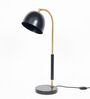 Hector Metal Study table Lamp