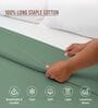 Hedge Green Solid 400 TC Cotton Double Sized Duvet Cover