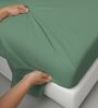 Hedge Green Solid 400 TC Cotton King Sized Bedsheet with 2 Pillow Covers