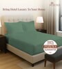 Hedge Green Solid 400 TC Cotton Queen Sized Fitted sheet with 2 Pillow Covers