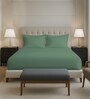 Hedge Green Solid 400 TC Cotton Queen Sized Fitted sheet with 2 Pillow Covers