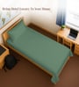 Hedge Green Solid 400 TC Cotton Single Sized Bedsheet with 1 Pillow Cover