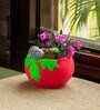 Hedgehog Haven Handmade & Hand Painted Planter Pot In Terracotta (6 Inches)