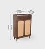 Helen Wooden  Shoe Cabinet In Walnut Colour