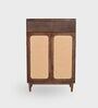 Helen Wooden  Shoe Cabinet In Walnut Colour