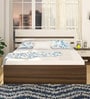 Achillis King Size Bed in Asian Walnut & White Finish