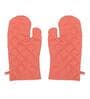 Hemis Gompa Multi Cotton (Set of 2) Gloves