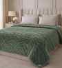 Hemlock Green Solid Microfiber Ultra Soft 300GSM Double Bed Quilt