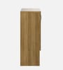 Henary 2 Door Shoe Cabinet In Natural Teak & Melamine Finish