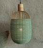 Henka Green Hanging Lamp Tall