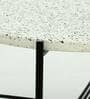 Hesin Metal Coffee Table With Terrazzo Top In Black Colour