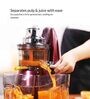 Hestia Appliances Nutri-Max Cold Press Juicer in Wine Colour