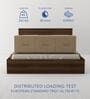 Hestia Queen Size Bed in Walnut Finish