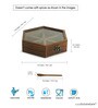 Hexagonal (Each 45ml) Sheesham Wood Spice Box with Spoon