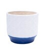 Hexagonal Stripe White Ceramic Desk Pot