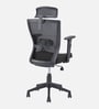 Hexon Pro Breathable Mesh  Ergonomic Chair in Black Colour with headrest