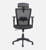 Hexon Pro Breathable Mesh  Ergonomic Chair in Black Colour with headrest