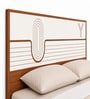 HGK Curve White Colour Bed With Hydraulic Storage In Walnut Finish