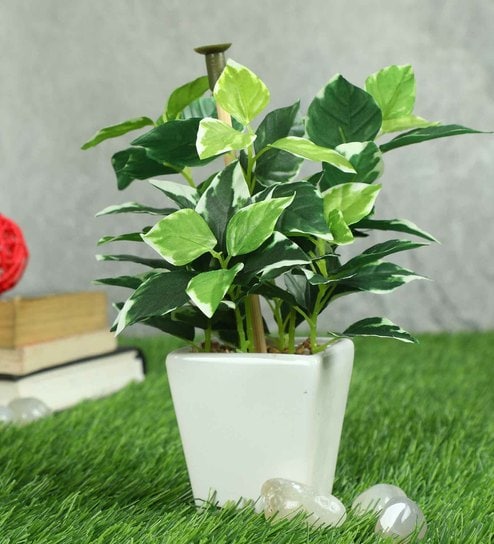 Hidegreen Pvc Artificial Bonsai With White Ceramic Pot
