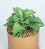 Polyester Hide Green Elegant Succulent With Metal Pot Artificial Plants