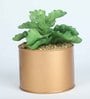 Polyester Hide Green Elegant Succulent With Metal Pot Artificial Plants