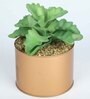 Polyester Hide Green Elegant Succulent With Metal Pot Artificial Plants