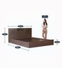 Hideki Queen Size Bed in Walnut Finish with Box Storage