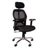 Ergonomic Chair in Black Colour