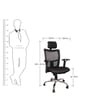 Ergonomic Chair in Black Colour