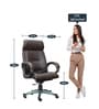 Dom High Back Executive Chair In Brown Colour