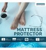 Casa (78x48) Polycotton Ultrafresh Treated Waterproof Queen Size Mattress Protector