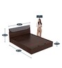 Highlands Queen Size Bed with Hydraulic Storage in Dark Walnut Colour