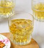 Hills 266ml (Set of 6) Whiskey Glass
