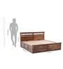 Hilton Wooden Queen Sized Bed In Brown Finish With Hydraulic Storage