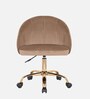 Hindmen Velvet Guest Chair In Brown Colour