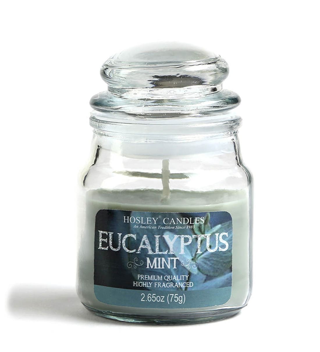 Buy Eucalyptus Mint White Wax Scented-Candle at 44% OFF by Hosley ...