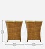 Hobart Wicker Table And Chair Set ( With 2 Chairs ) In Brown Finish