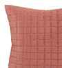 Pink Velvet Embroidered 16X16 Inches 2Pcs Cushion Covers