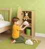 Holland Kids Storage Cabinet In Green Finish