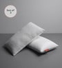 Hollow Fibre 26 x 16 Inch Pillows (Set of 2)