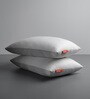 Hollow Fibre 26 x 16 Inch Pillows (Set of 2)