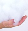 Hollow Fiber 27 L x 17 W Inch Pillow (Set of 2)