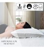 Hollow Fibre (27x17) Inch Sleeping Pillow