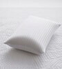 Hollow Fibre (27x17) Inch Sleeping Pillow