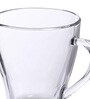Owen 255ml Transparent (Set of 6) Glass Tea Cup
