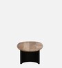 Holmes Solid Wood Coffee Table In Natural & Black Finish
