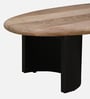 Holmes Solid Wood Coffee Table In Natural & Black Finish