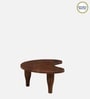 Holmes Solid Wood Coffee Table In Teak Finish